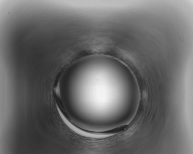 X0000089861300200707051126