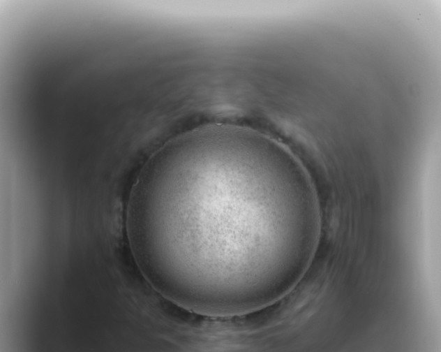 X0000089861301200707051126