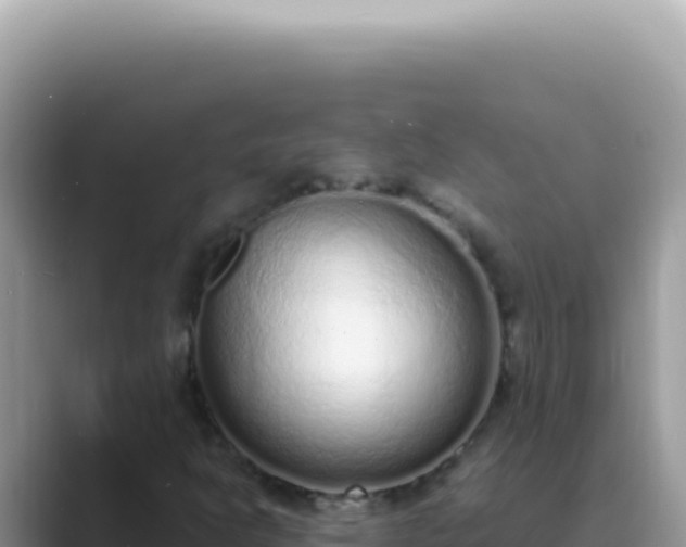 X0000089861302200707051126