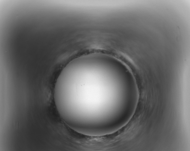 X0000089861303200707051126