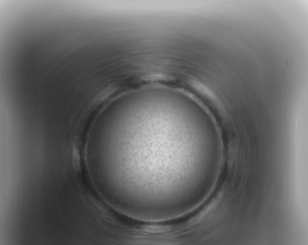 X0000089861305200707051126