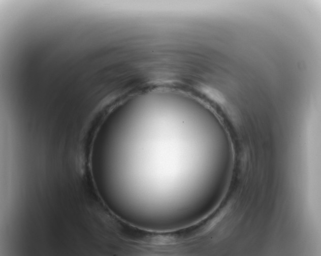 X0000089861306200707051126
