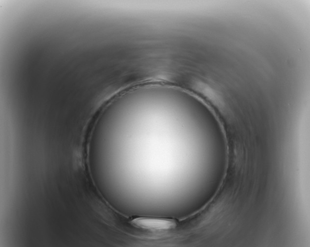 X0000089861308200707051126
