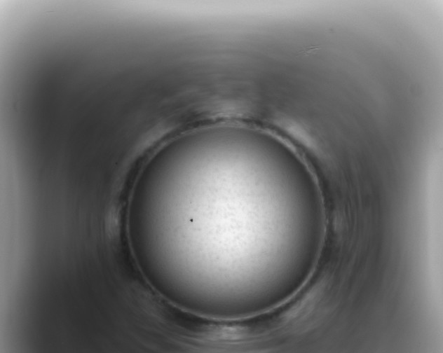 X0000089861309200707051126