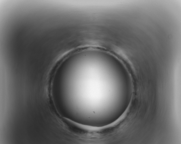 X0000089861312200707051126