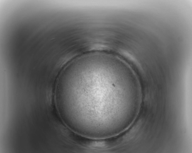 X0000089861313200707051126