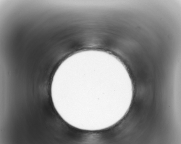 X0000089861314200707051126