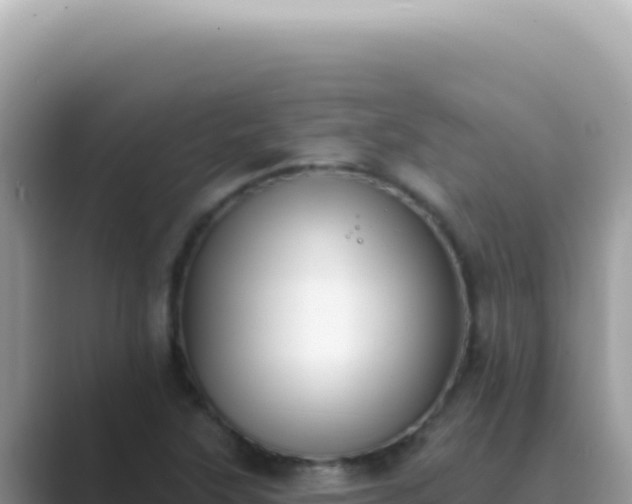X0000089861315200707051126