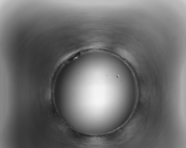 X0000089861316200707051126