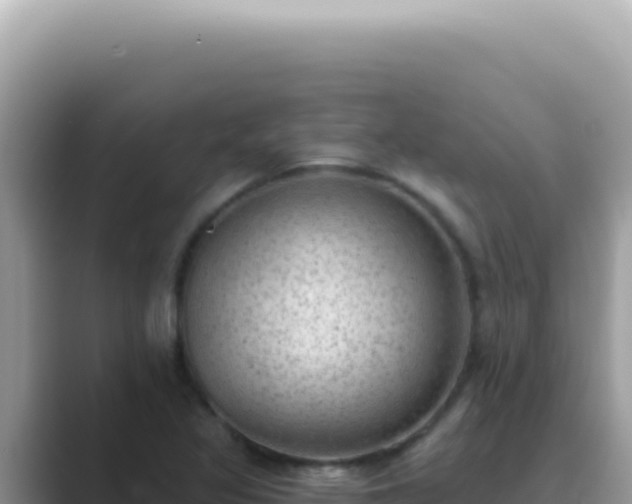 X0000089861317200707051126