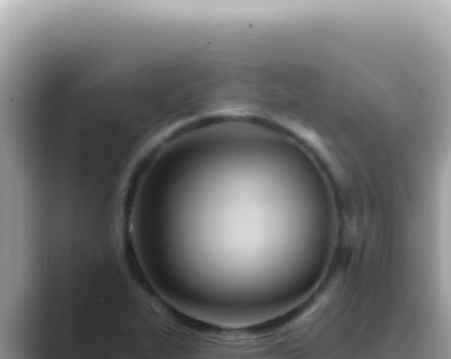 X0000089861319200707051126