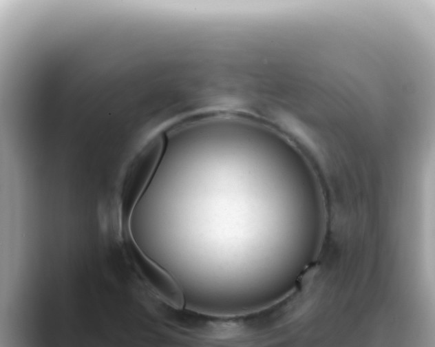 X0000089861320200707051126