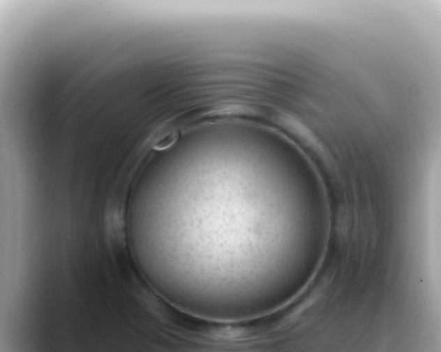 X0000089861321200707051126