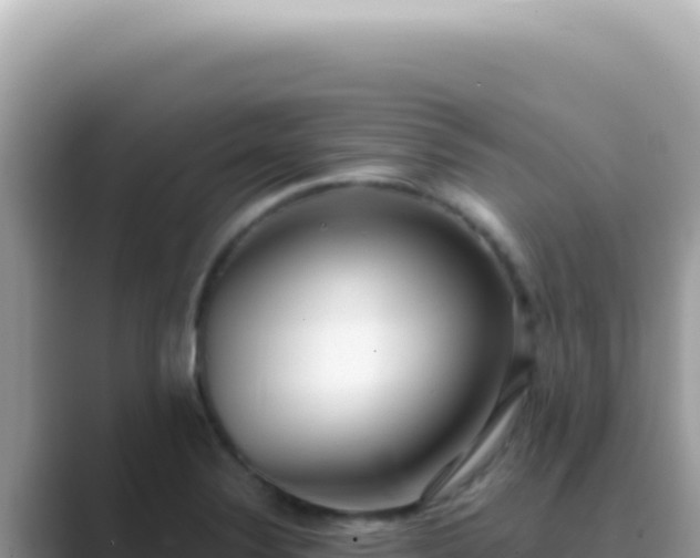 X0000089861324200707051126