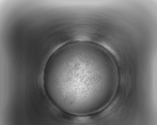 X0000089861325200707051126