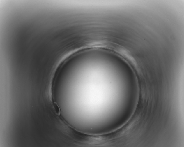 X0000089861328200707051126