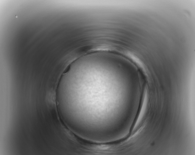 X0000089861329200707051126