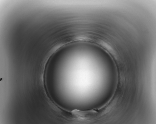 X0000089861330200707051126