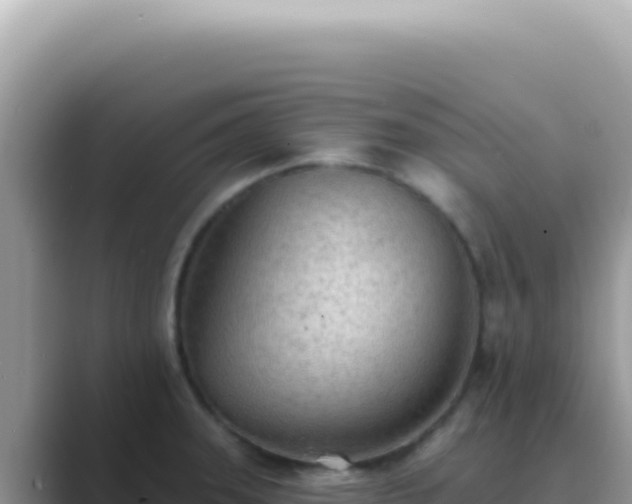 X0000089861331200707051126