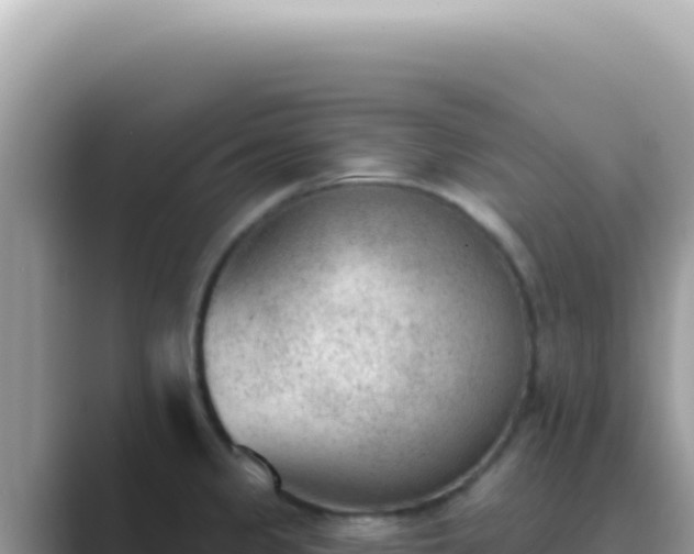 X0000089861333200707051126