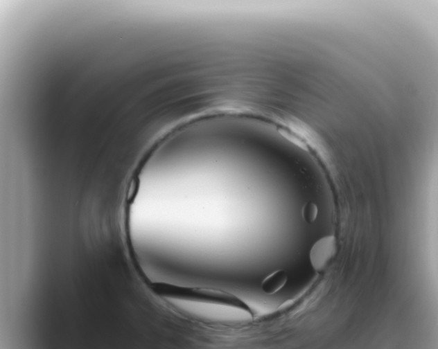 X0000089861334200707051126