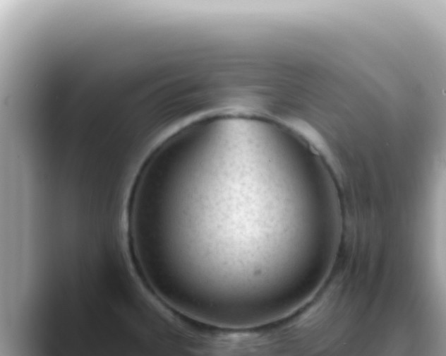 X0000089861335200707051126