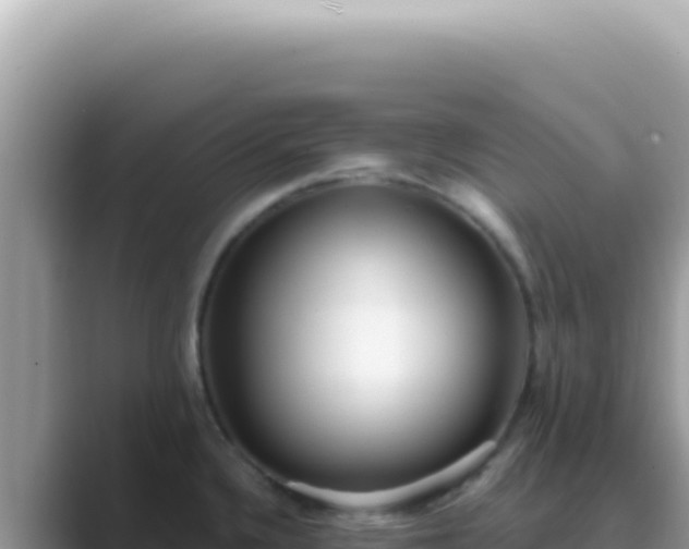 X0000089861336200707051126