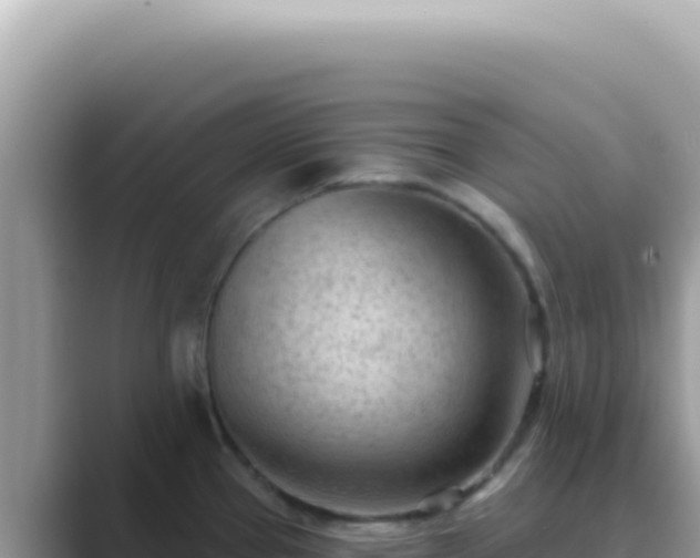 X0000089861337200707051126