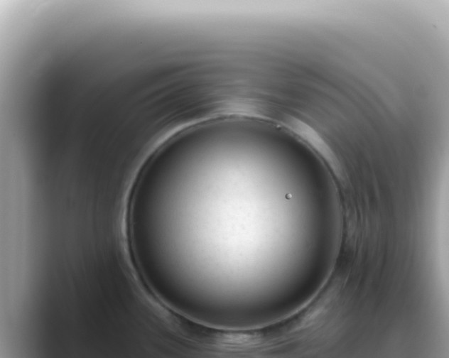 X0000089861339200707051126