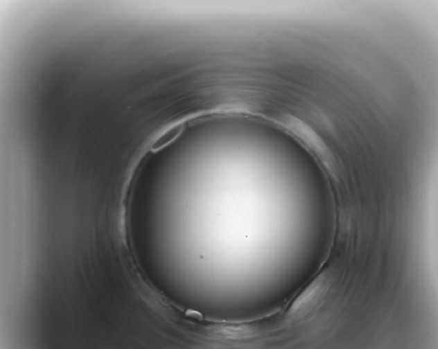 X0000089861340200707051126