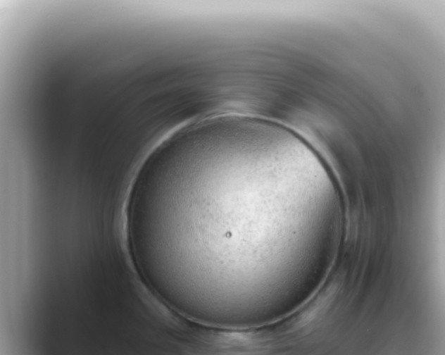 X0000089861341200707051126