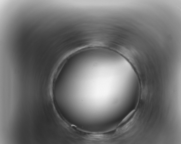 X0000089861342200707051126
