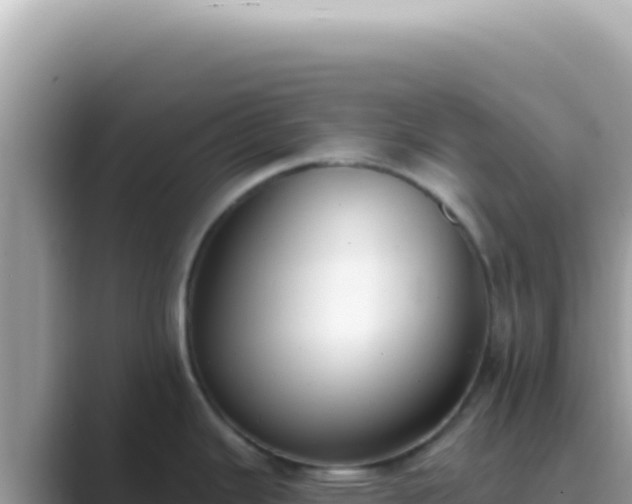 X0000089861343200707051126