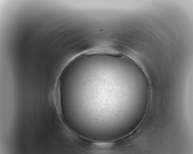 X0000089861344200707051126