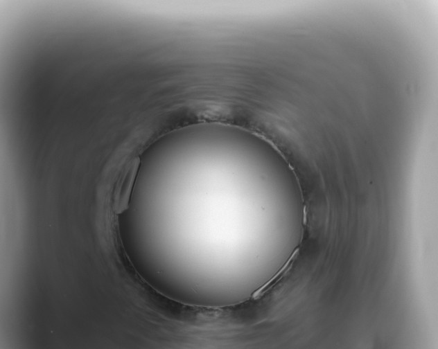 X0000089861345200707051126