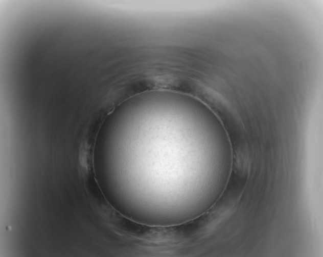 X0000089861346200707051126