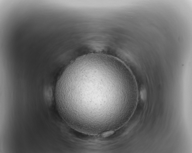 X0000089861347200707051126