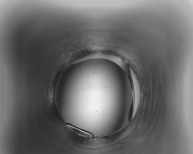 X0000089861348200707051126