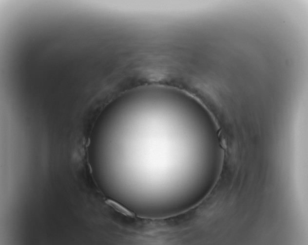 X0000089861349200707051126
