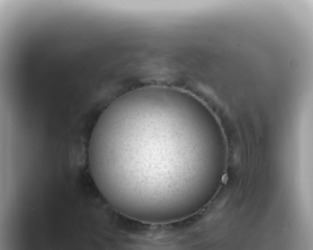 X0000089861350200707051126