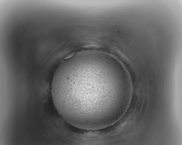 X0000089861351200707051126