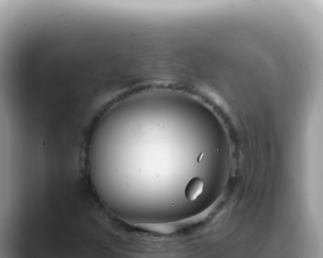 X0000089861352200707051126