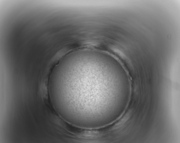 X0000089861354200707051126