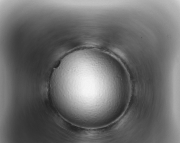X0000089861355200707051126