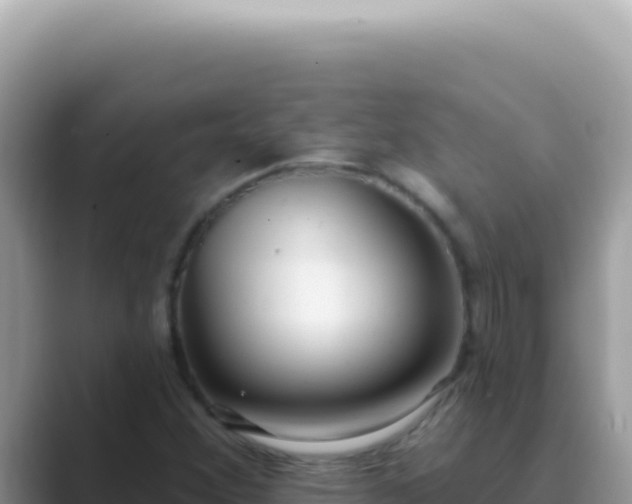 X0000089861356200707051126