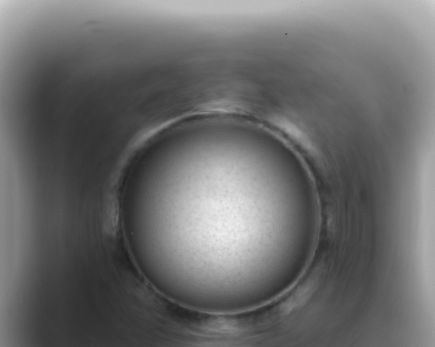 X0000089861358200707051126