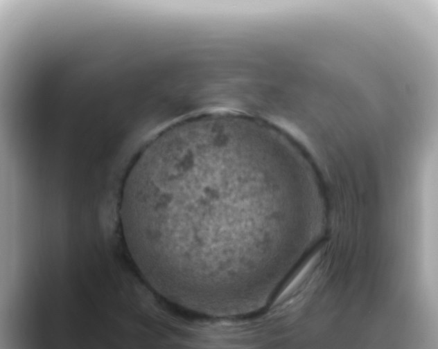 X0000089861359200707051126