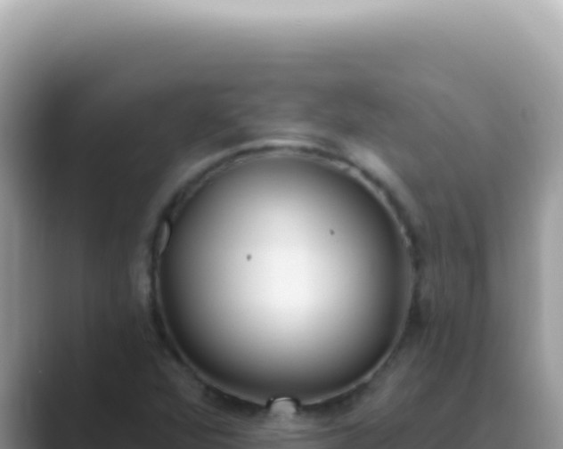 X0000089861360200707051126