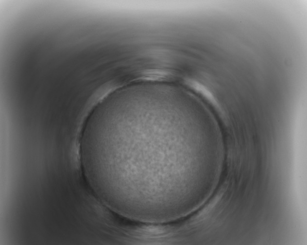 X0000089861362200707051126