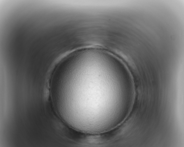 X0000089861363200707051126